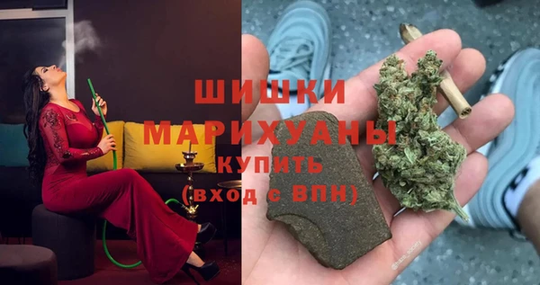 тгк Богданович